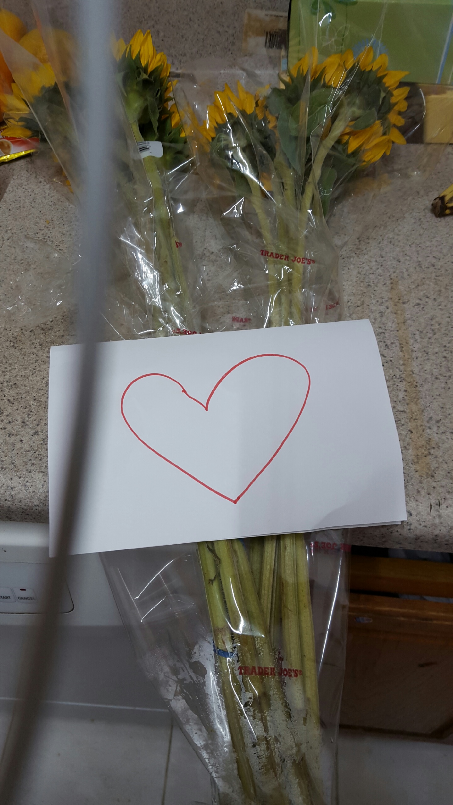 Neighbor Flowers (1)